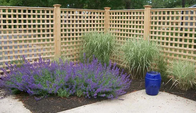 Lattice Wood Fence Installation Services
